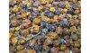 Ebereschenbeeren, 500gr Ebereschenbeeren, 500gr
