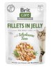 Brit Care Adult in Jelly Tuhnfisch 85 g