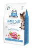 Brit Care Large Cats Power Vitality 2Kg