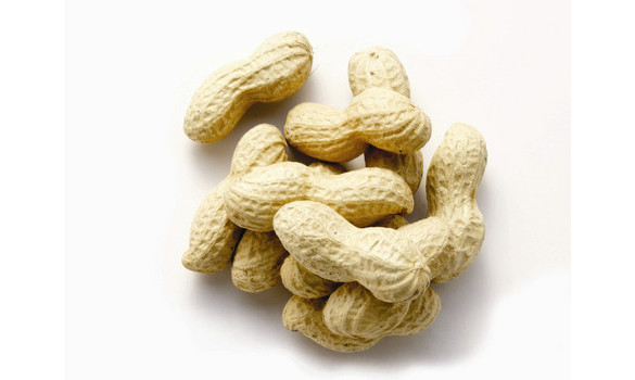 Erdnüsse, 10kg - zum Schließen ins Bild klicken