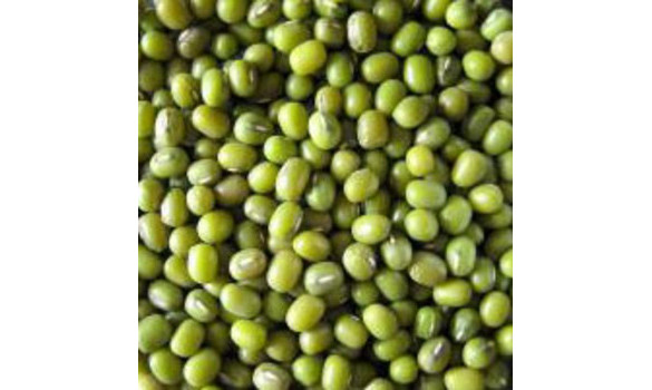 Mungobohnen (grüne Soja), 1kg - zum Schließen ins Bild klicken