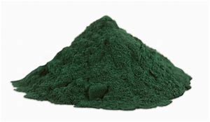 Spirulina Tbl. 500Stk. - zum Schließen ins Bild klicken